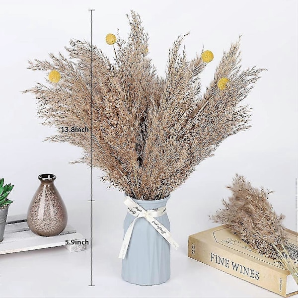 Tørket Pampasgress Dekor Tørkede Blomsterplanter Naturlig Tørket Pampasgress For Valentinsdagsgave Hjem