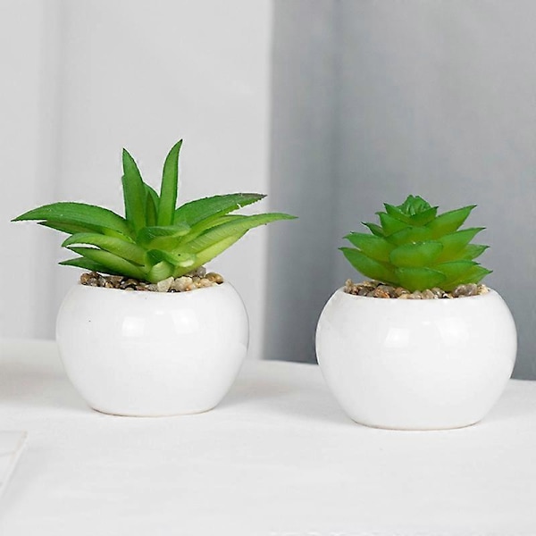 Kunstig Plante Livagtig Naturlig PVC Realistisk Frisk Mini Borddekoration Kunstige Sukkulenter Bonsai til Skrivebord 2