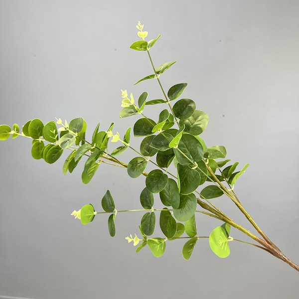 3D-tulostettu 16-lehtinen eukalyptusrahapuu kodin sisustukseen Bundle of 16 money leaves dark green