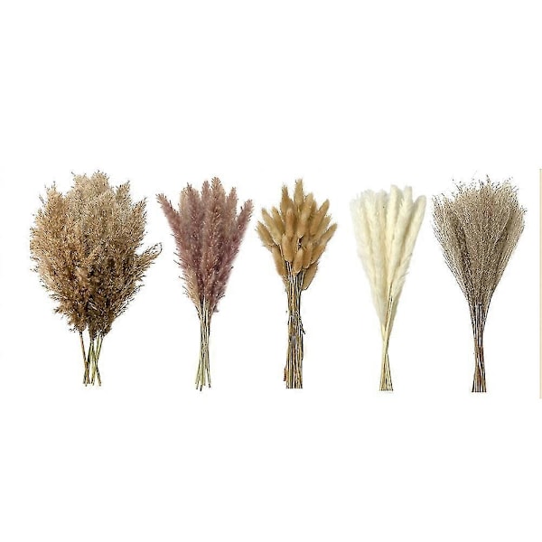 110 stk. Pampasgress Boho Dekor Tørket Gress Bukett Harehaler Tørkede Blomster Bukett Bryllupsdekor