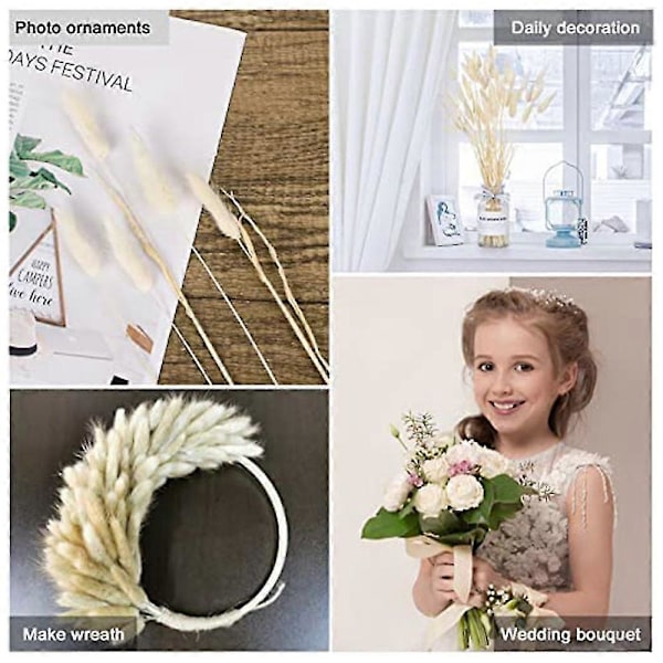 Torkade Kanin Svansar Naturliga Blommor Blomsterarrangemang Bröllop Torkade Blommor Bukett Hem Boho Dekoration