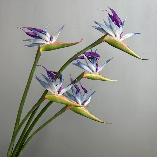 Stor, høykvalitets kunstig paradisfuglblomst for hjemmeinnredning og bryllupsrekvisitter Soft gel bird of paradise orange