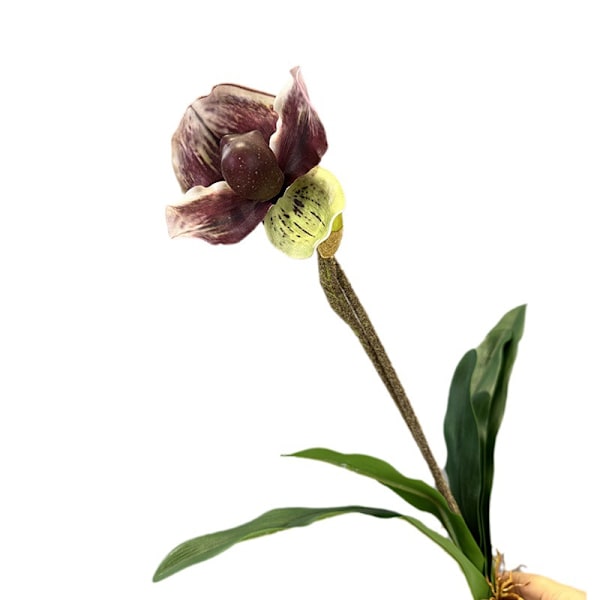 Simulert Paphiopedilum PVC Føles Ekte Kunstig Blomst Hjemmeinnredning 2-Hodet med Blader Orkidé Myk Dekor White