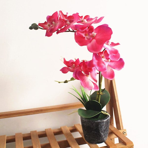 Kunstig Phalaenopsis Blomst Falsk Plante Bonsai Hjemmekontor Butik Cafe Indretning Purple