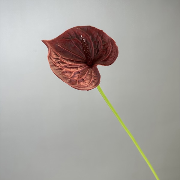 3D Röd Anthurium PU Känsla Konstgjord Blomma för Bröllop Heminredning Wine red