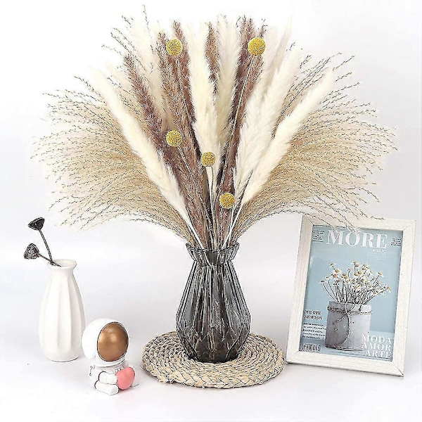 65 stk. Tørret Fluffy Pampas Græs Dekoration Høj, Naturlig Pompøs Græs Blomsterarrangement Til Vase Dekoration