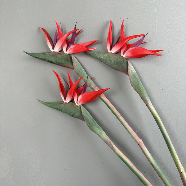 Paradisfågelblomma Enkel Stjälk Konstgjord Blomma Heminredning Mjukt Gummi Simulationsblomma red