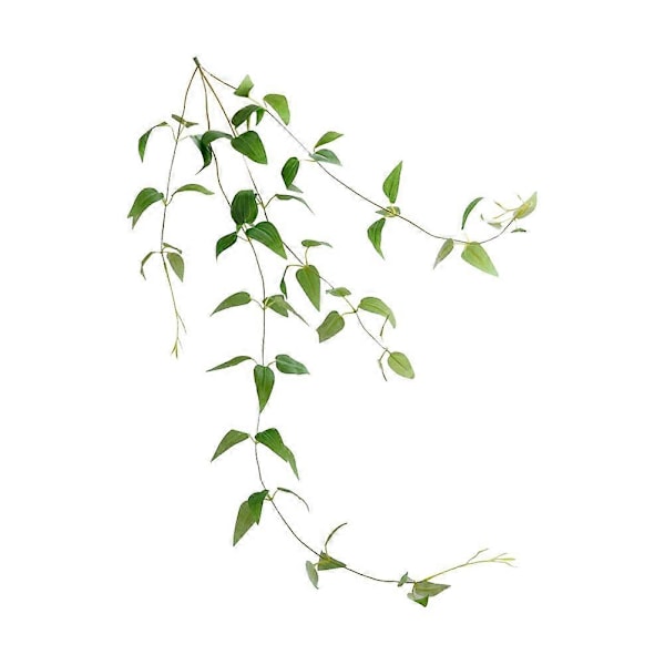 Keinotekoinen muratti keinotekoinen kukka koristelu väärennetty riippuva köynnös keinotekoinen Clematis-köynnös tekoköynnösseppele