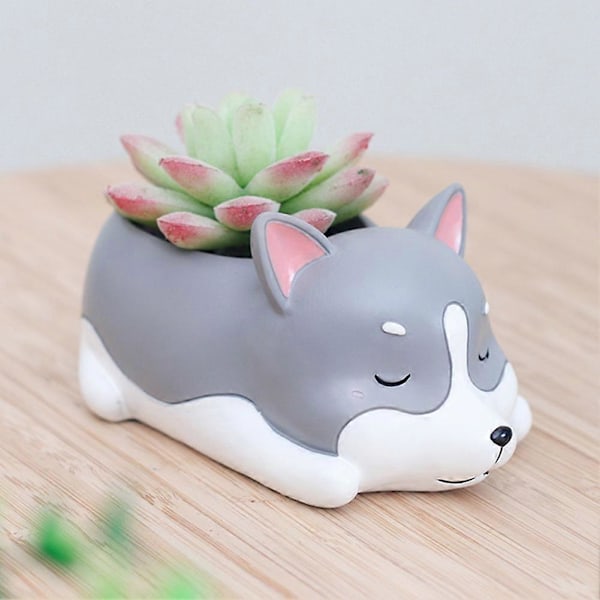Tegneserie Hunde Desktop Sukkulenter Planter Blomsterpotte Hjemmehave Landskabsdekoration 2