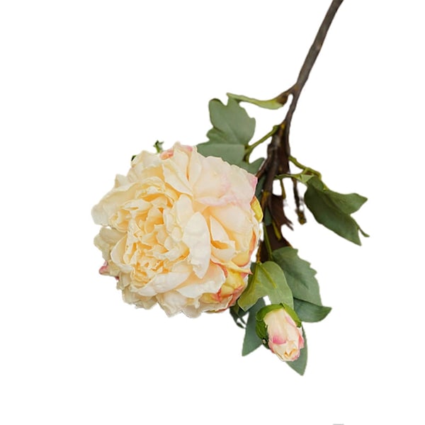 Dekorativ Simulering Peon Ingen Vanning Udødelig Blomstrende Kunstig Peongren Hjemmeinnredning Champagne