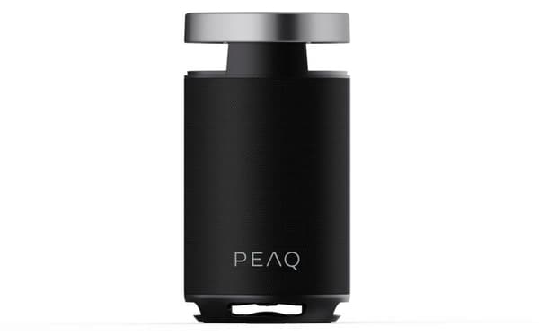 PEAQ PPS 170 svart bärbar högtalare