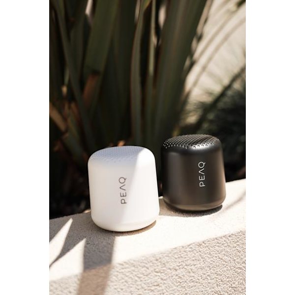 PEAQ PPA 103-B Bluetooth-högtalare