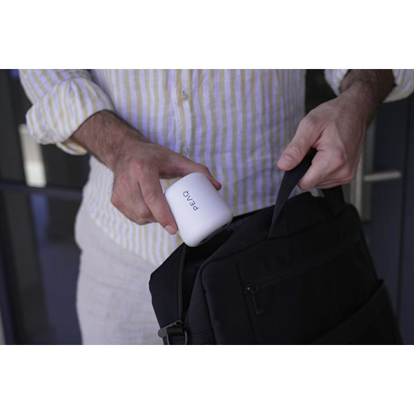 PEAQ PPA 103-WT Bluetooth-högtalare