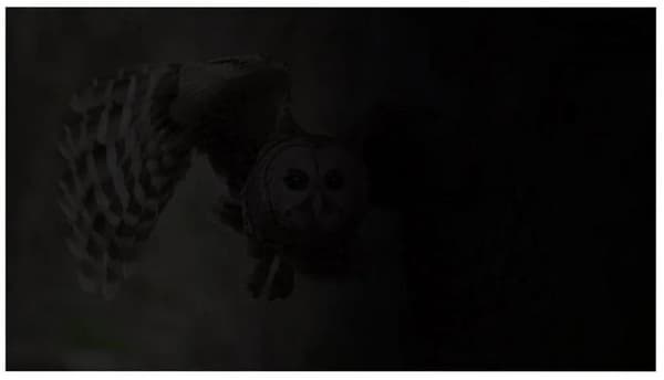 NATEC OWL Sekretessfilter 23,8 tum Svart
