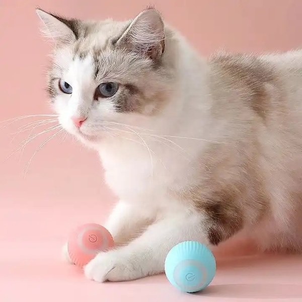 Cat Toy - Aktivering av rörlig boll / Boltrörelser för katt Pink