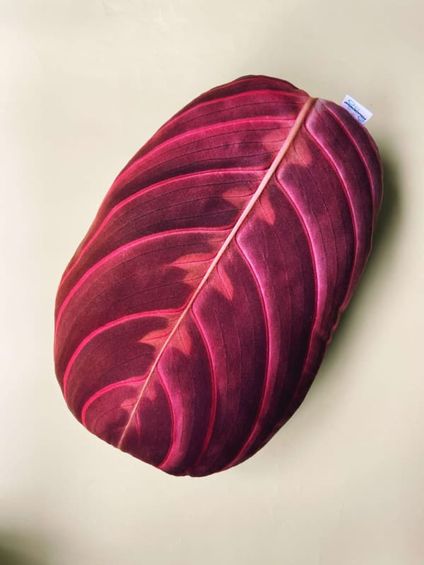 Kudde med blad från Maranta