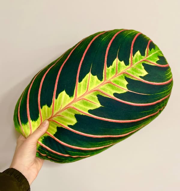 Kudde med blad från Maranta