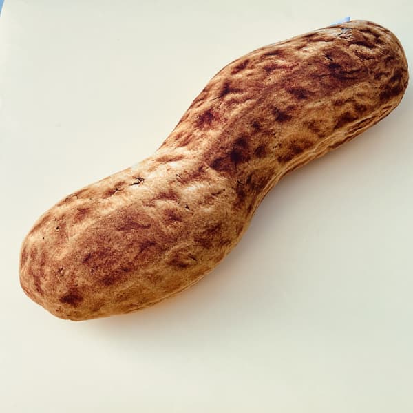 jordnöt Peanut-kudde