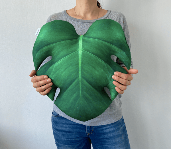 Monstera-kudde Monstera-blad