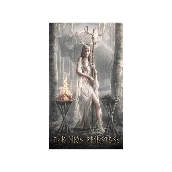 Runic Tarot Divination card