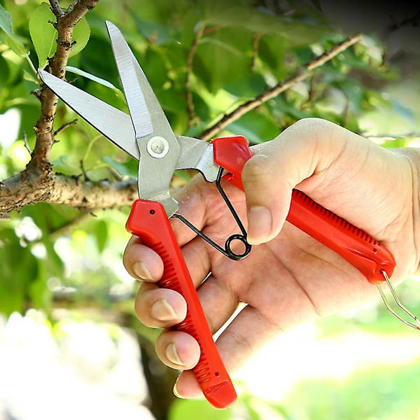 Beskärningssax Bonsai Beskärare Trädgårdssax Trädgårdssaksax Enkla beskärare null none