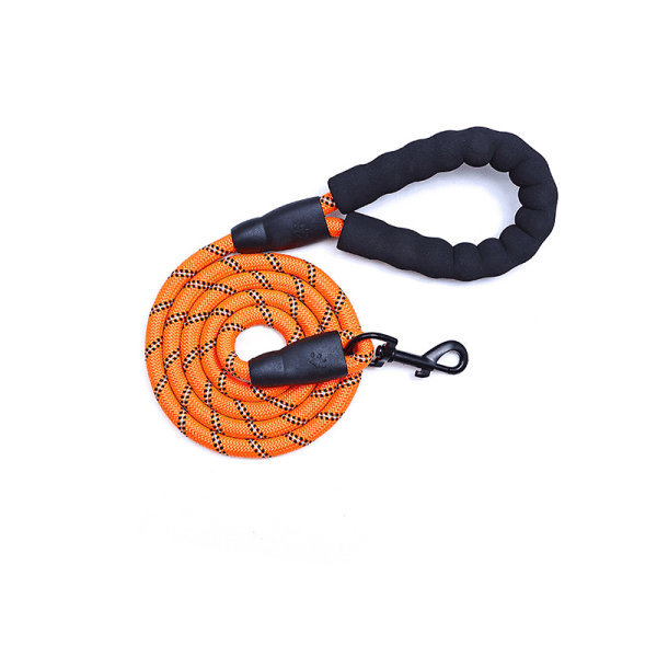 Hundbälte Walking Belt Reflekterande bälte Hundbälte Couleur orange L