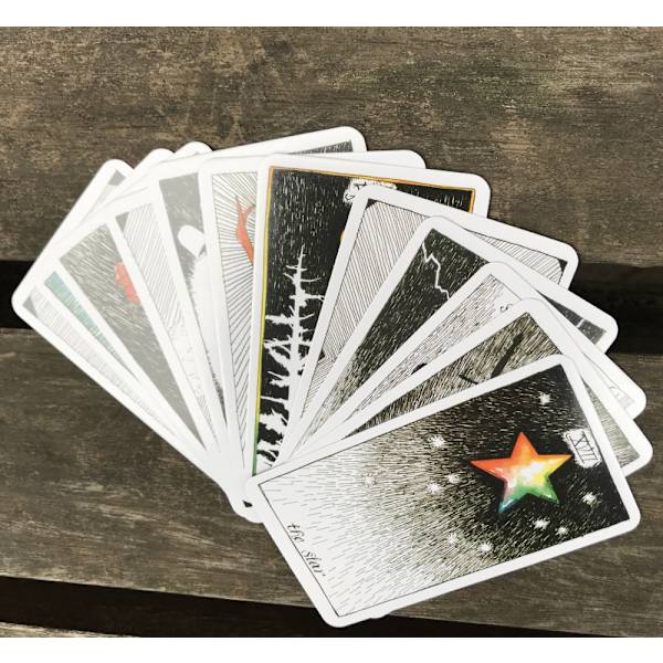 vild okänd Oracle Tarot Card kort Spådomskort