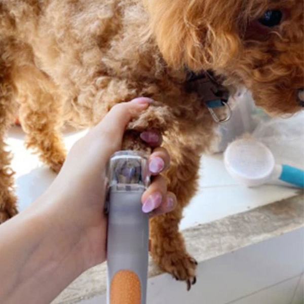 Professionell LED Light Nagelklippare för sällskapsdjur - Perfekt för att klippa katter och hundars naglar och klor, 5x förstoring och nagelfångare, snabbklippning, stål null none