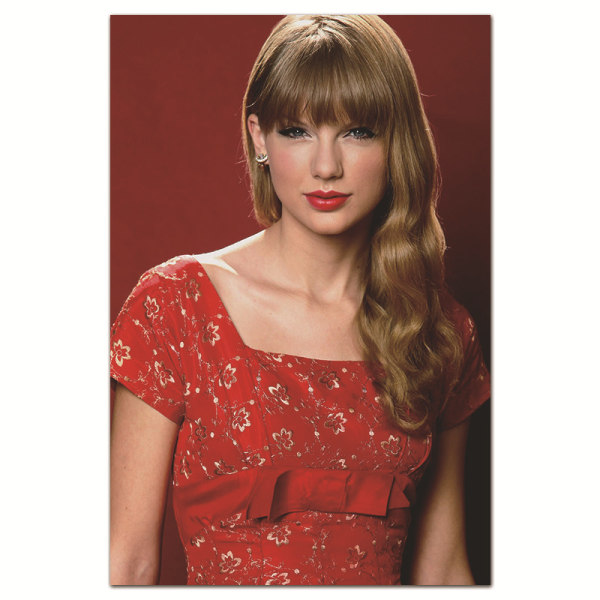 Taylor Swift Perifer Poster Tapestry Style 26 40*50CM