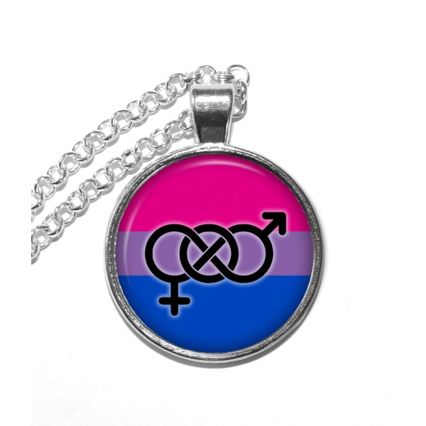 Halsband Brons Silver Bisexuell Flagga Symbol Pride Silver