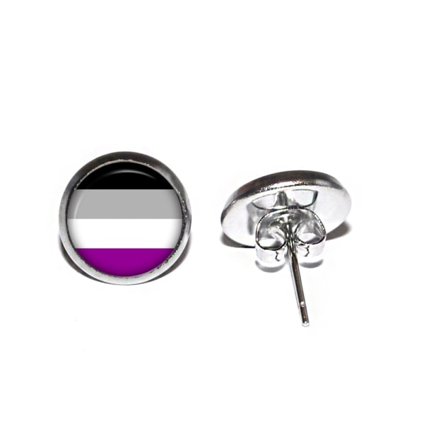 Örhängen Stift Studs Rostfritt Stål Asexuell Flagga Pride