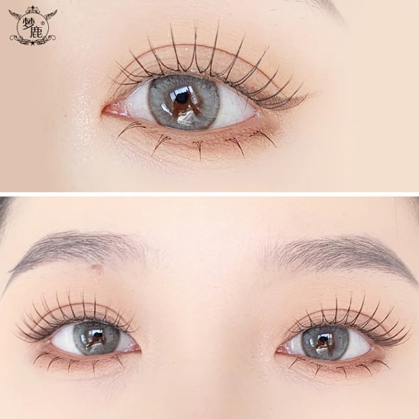 Dröm Deer 5 Par Falska Ögonfransar En Typ Ögonfransar Uppgraderad Lash V-Formad 0.14Mm Transparent Stam Mjuk Naturligt Öga Lashes Mink R-15