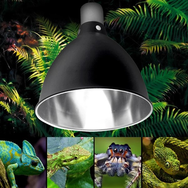 300W Sköldpadda Böjda Värmelampa Ljus Kupol Hållare Turtle Brooder Basking Set För Akvarium Amfibier Reptil Sköldpaddjur Lampa Skuggar US plug