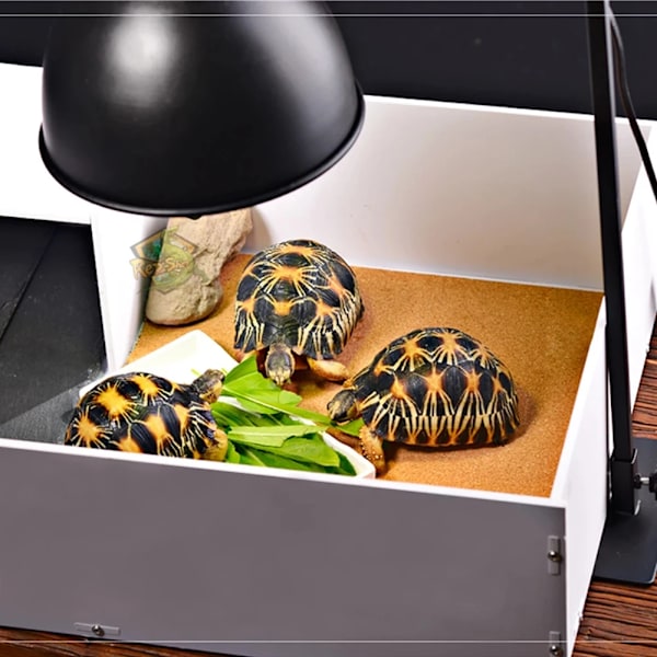 300W Sköldpadda Böjda Värmelampa Ljus Kupol Hållare Turtle Brooder Basking Set För Akvarium Amfibier Reptil Sköldpaddjur Lampa Skuggar AU plug