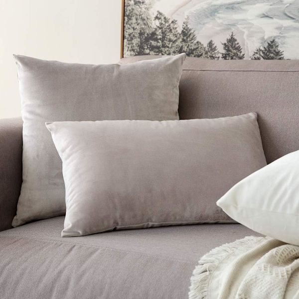 Sæt med 2 dekorative fløjls pudebetræk Sofa pudebetræk Super glat blød dekoration Hjem Stue Soveværelse til sofa 2 stk 30X50CM Champagne