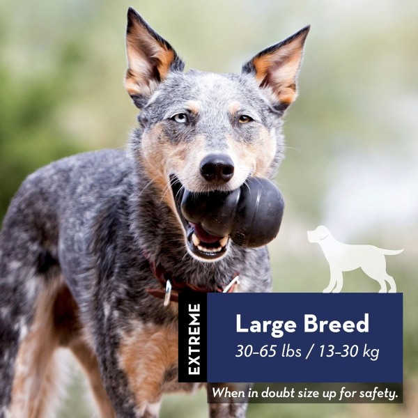 Extreme hundleksak - Kraftig naturgummi, svart - bit-, jakt- och greppleksak - Lämplig för stora hundar.