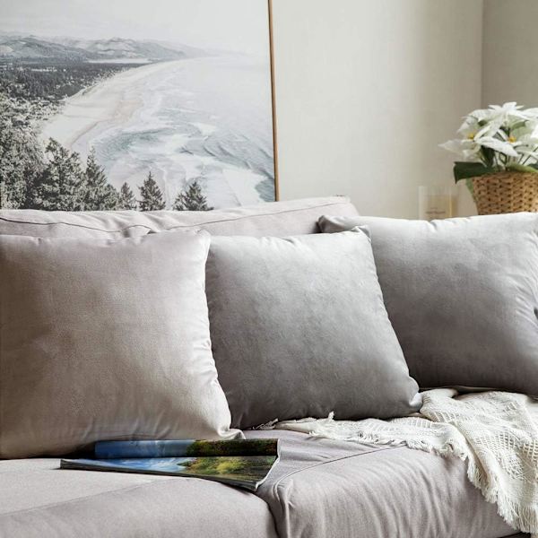 Putetrekk i fløyel, dekorativt putetrekk til sofa, glatt, mykt, behagelig, dekorasjon til hjemmet, stue, soverom, til sofa 40X40CM Champagne