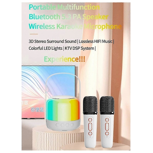 RGB Farverig LED Lys Bluetooth 5.3 PA Højttaler Trådløse Dobbelte Mikrofoner KTV DSP System 3D HIFI St