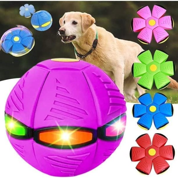 Tefatboll för hundar, Leksaker för husdjur Hundleksaker Konstig magic flygande tefatboll Magic dekompressionsdeformation Fotstamp (lila, inget ljus)