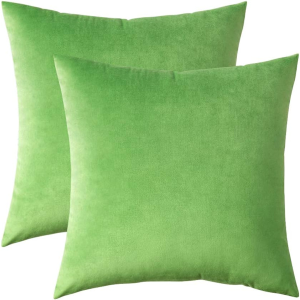 2 Dekorative Fløjls Pudebetræk Sofa Pudebetræk Super Blød Dekoration Hjem Stue Soveværelse til Sofa 45X45CM Græs Grøn