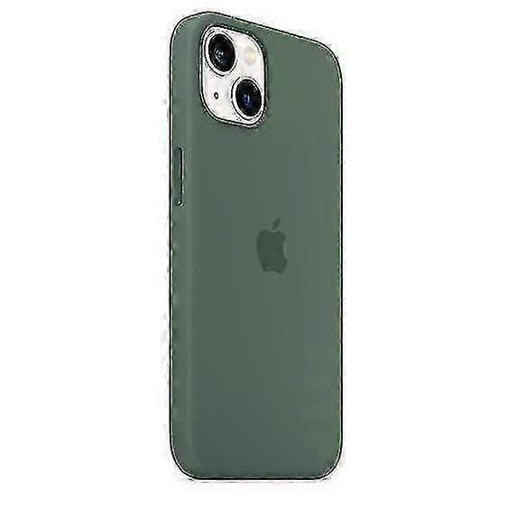 Silikondeksel med Magsafe til iPhone 13 (Eukalyptus)