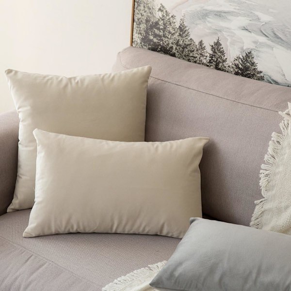 Sæt med 2 dekorative fløjls pudebetræk Sofa pudebetræk Super glat blød dekoration Hjem Stue Soveværelse til 2 stykker sofa 30X50CM Grå