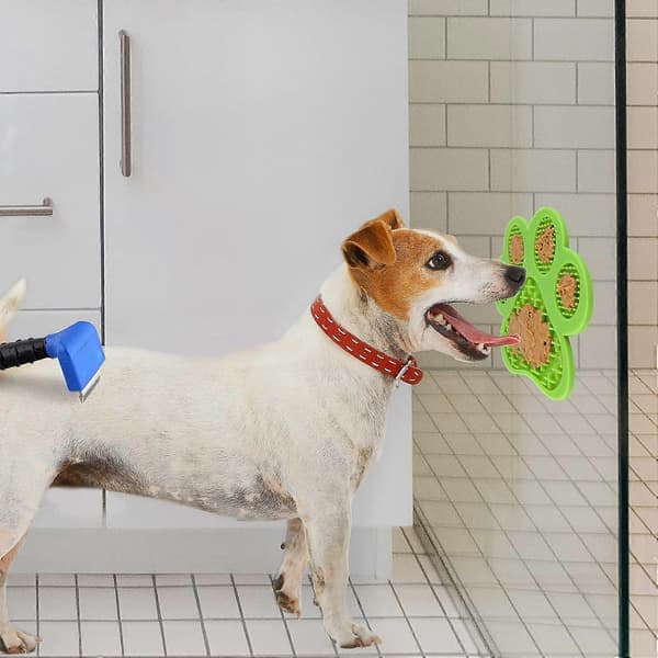 2-pack hundsnacksmattor med spatel, för hundar och katter (A)