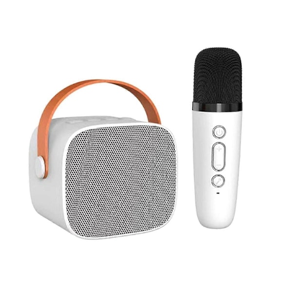Bluetooth-högtalare med 1 trådlös mikrofon, musikspelare för vuxna och barn, subwoofer-system W