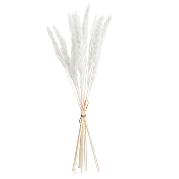 15 stk. Tørret Dekoration Tørrede Blomster Vaser Buket Boho Dekoration Grene
