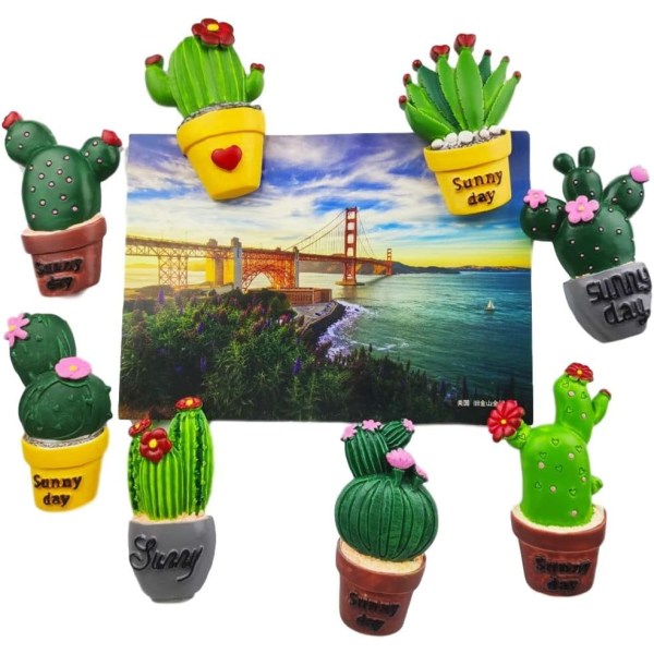 8 st/ Set 3D Resin Kylskåpsmagneter Serie Heminredning Kylskåp Magnetiska klistermärken Foto Office Message Kökstillbehör (Cactus Series)