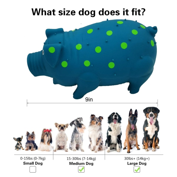 Pipande piggy hundleksak, skällande piggy hundleksak för små medelstora och stora hundar-Blå