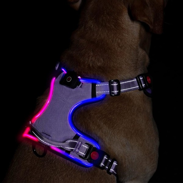 LED-belyst hundsele: Reflexväst med justerbar, uppladdningsbar, strypfri sele för husdjur med enkelt kontrollhandtag (Lila, L)