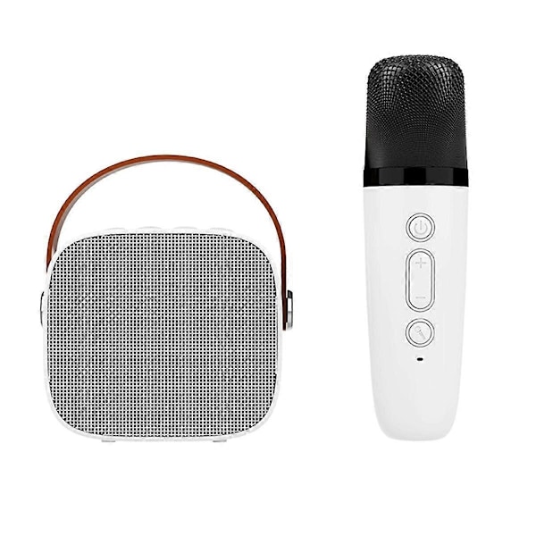 Bluetooth-högtalare med 1 trådlös mikrofon, musikspelare för vuxna och barn, subwoofer-system W