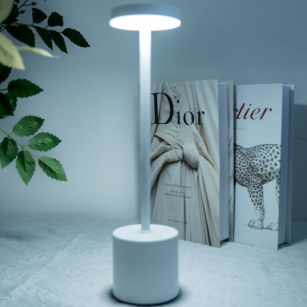 Sladdlös bordslampa dimbar vattentät metall USB-laddningsbar bordslampa -1pc-WELLNGS White